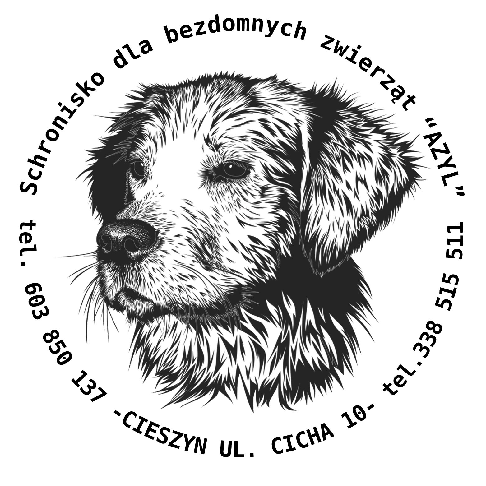 Schronisko Cieszyn